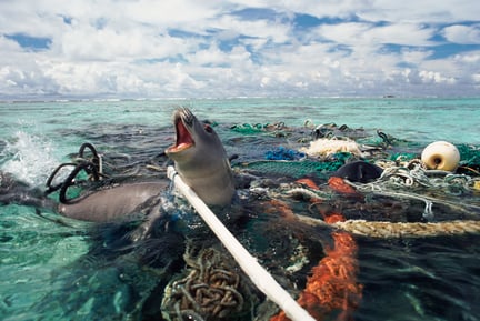 6 creative ways to tackle ghost gear