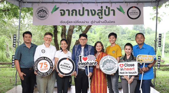Elephant Forest Phitsanulok models elephant-friendly tourism