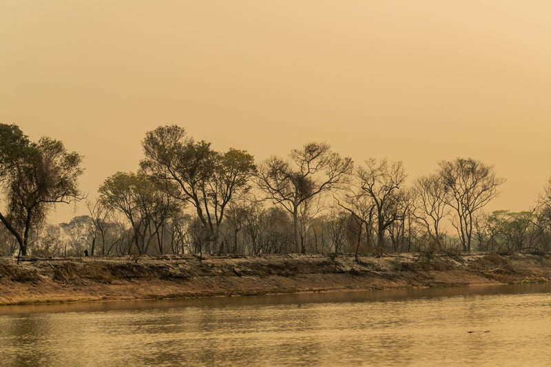 Fire returns in the Pantanal area where it had already been controlled