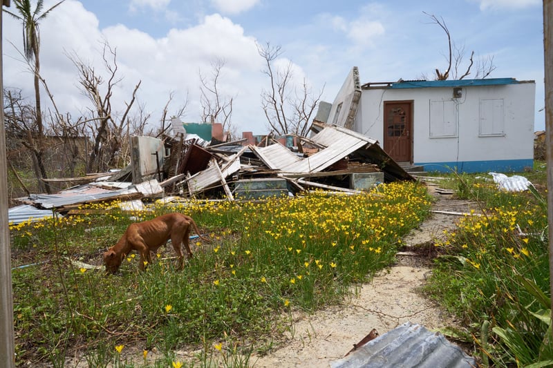 Antigua and barbuda