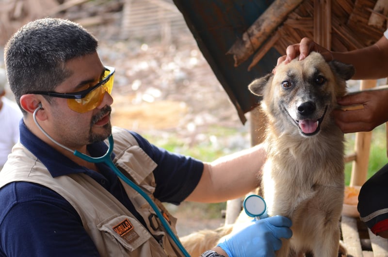 Q&A with Disaster Response Vet: Juan Carlos