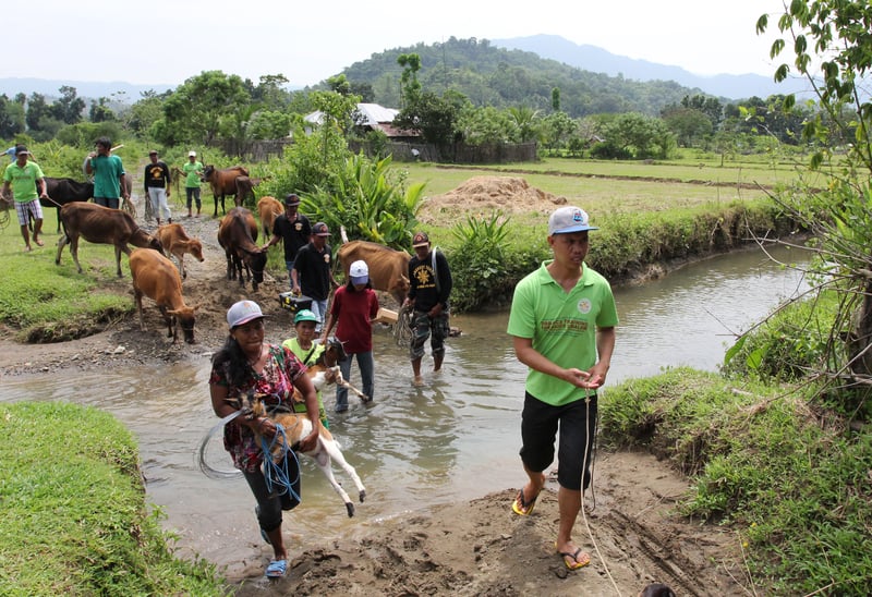 Leading a community drill in the Central Visaya, Philippines