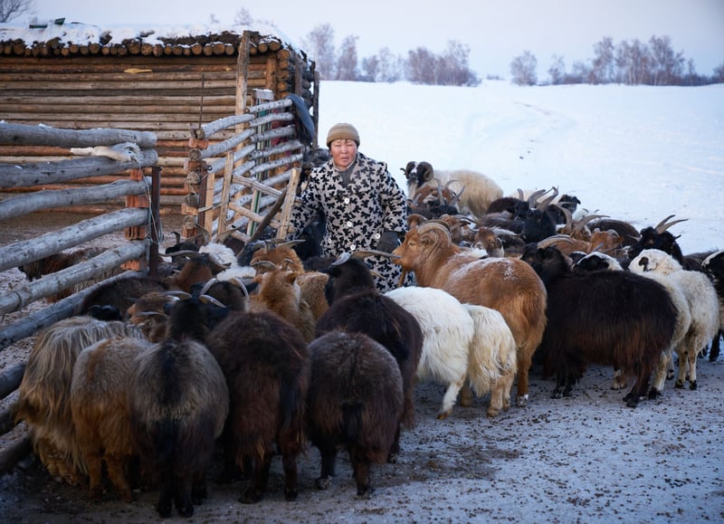 Mongolian woman