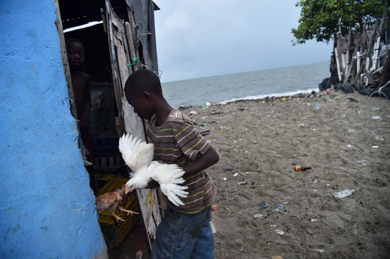 A boy rounds up his chickens into his house in the neighbourhood of Aviation, in Cap-Haitian on 7th September 2017, before the arrival of Hurricane Irma. Credit: Hector Retamal/AFP/Getty Images