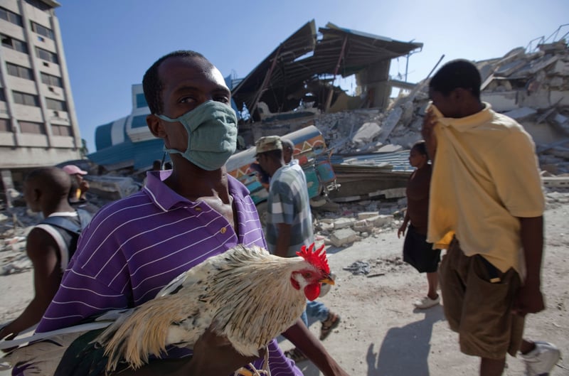 Recalling Haiti: our animal welfare response