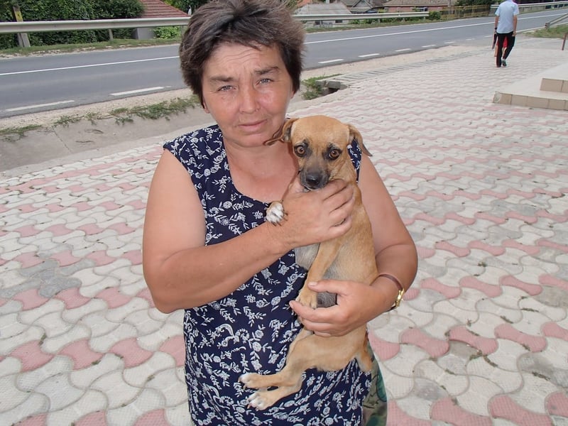 A woman brings her dog to the Save the Dogs mobile clinic