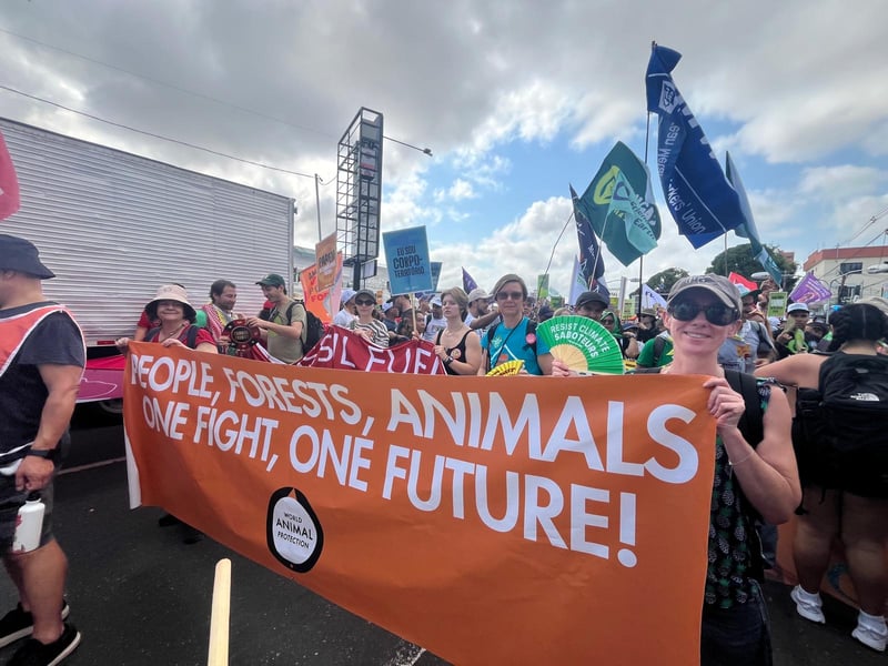 World Animal Protection staff holding an orange banner reading “People, Forests, Animals — One Fight, One Future” at the COP30 People’s March.