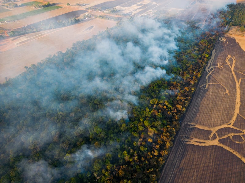 Aerial view of deforestation in the Amazon, showing smoke rising from burning forest next to cleared farmland for agriculture.