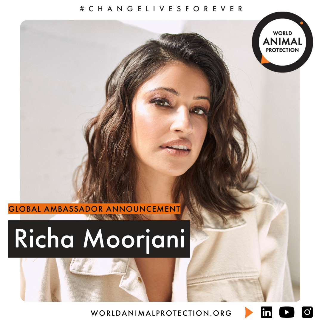 Richa Moorjani Global Ambassador for World Animal Protection