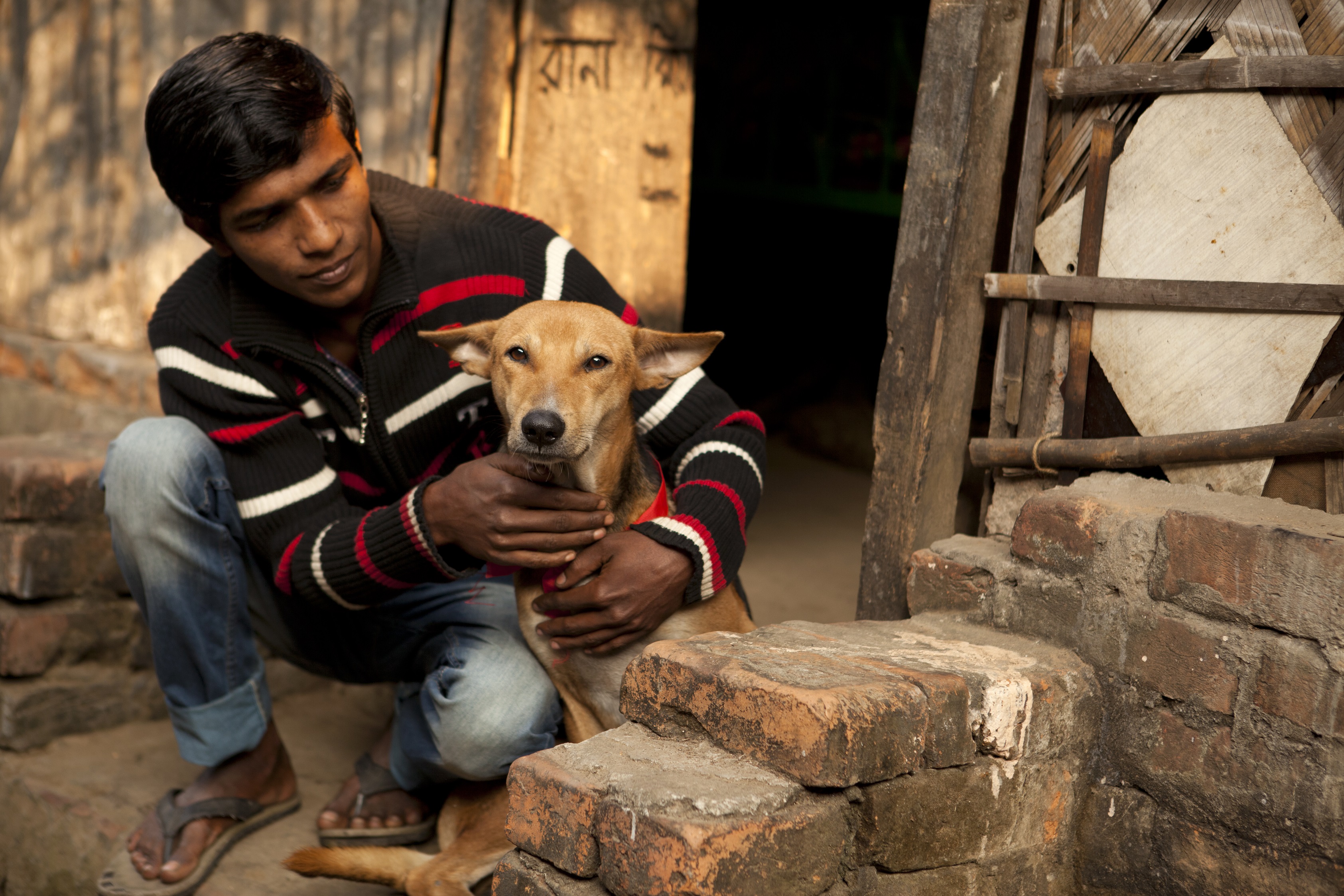Secure Animals Moving the world to protect animals in 2014