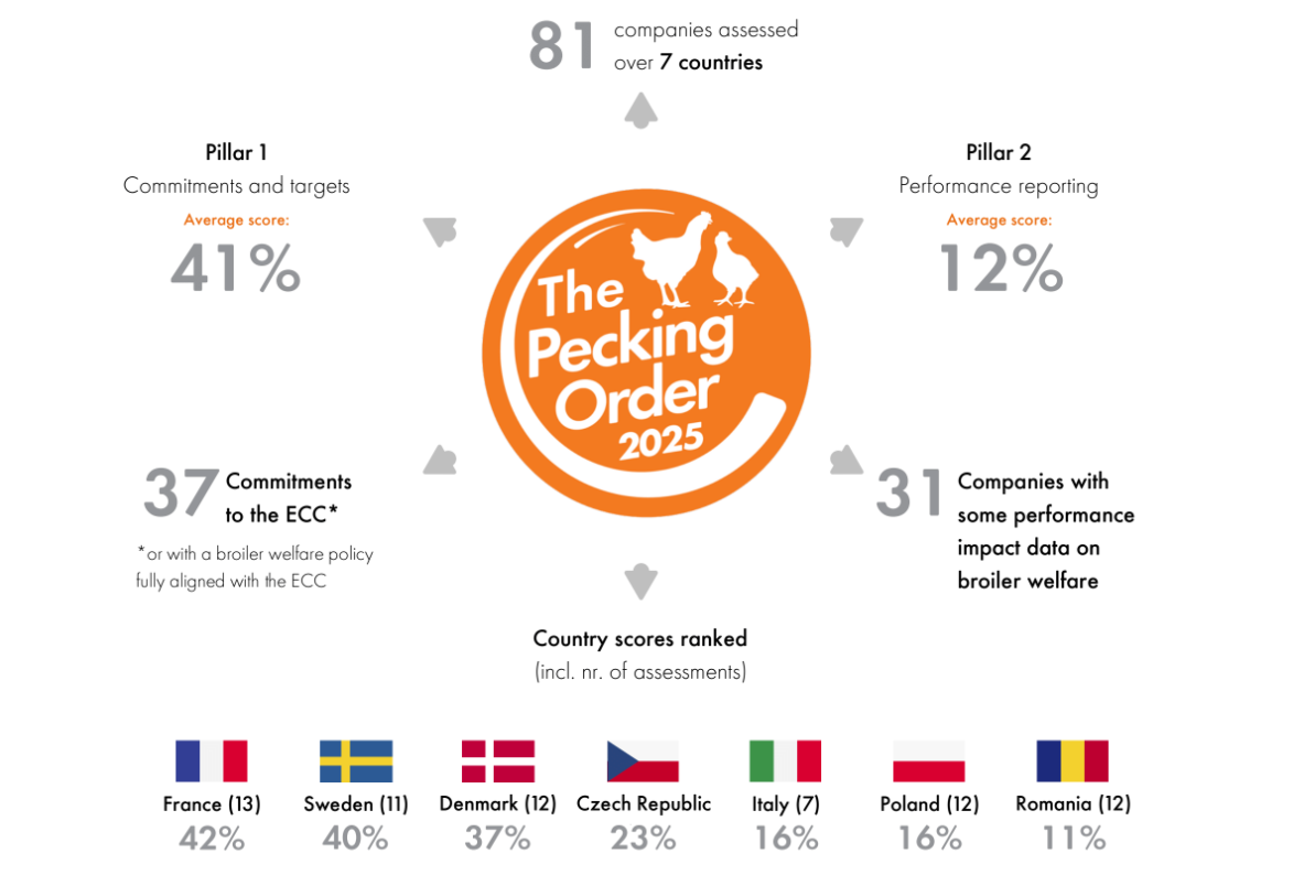 infographic depicting TPO205 overview