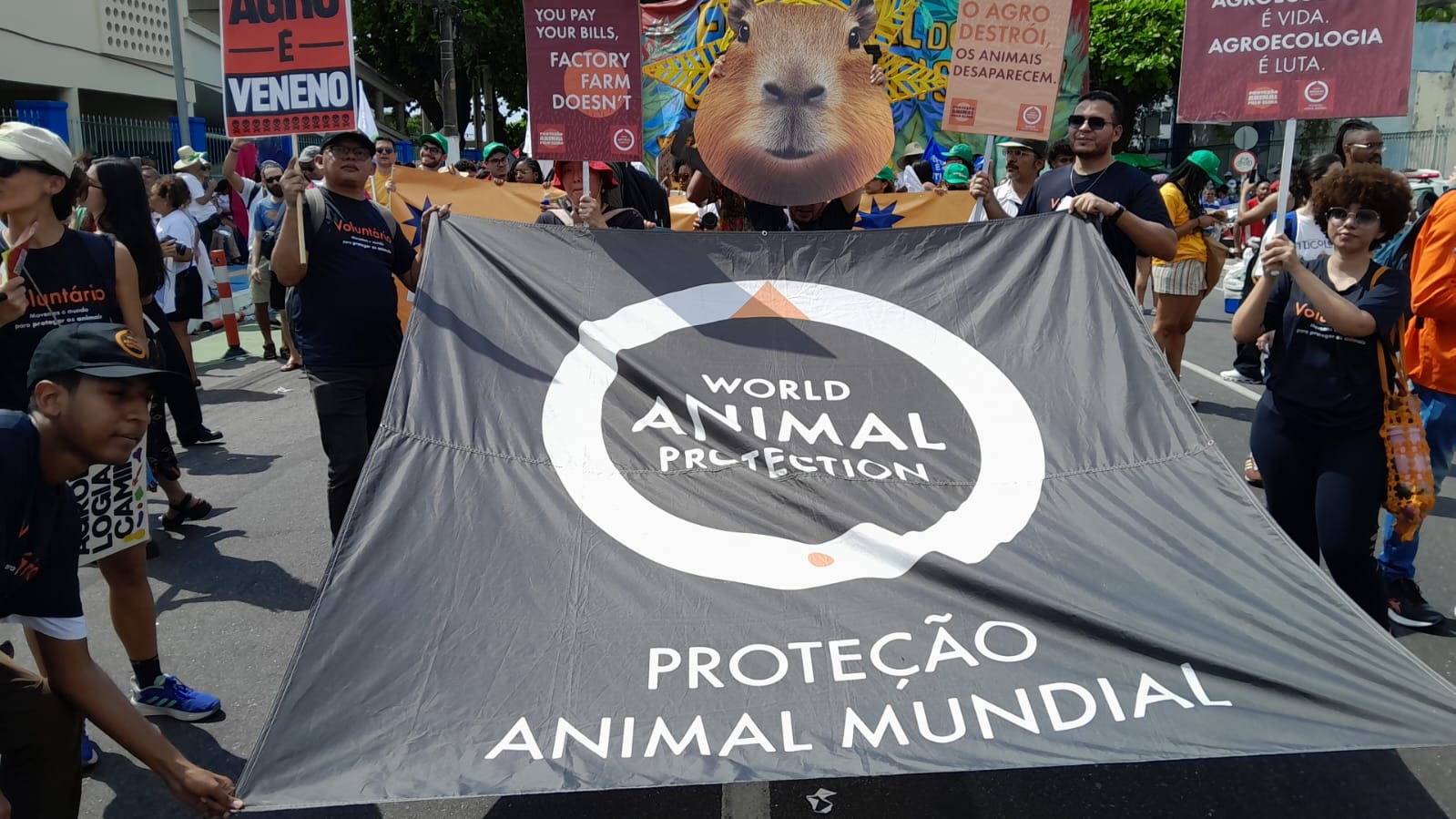 ‘Big Ag Is Casting a Dark Shadow’ | COP30 People’s March – World Animal Protection